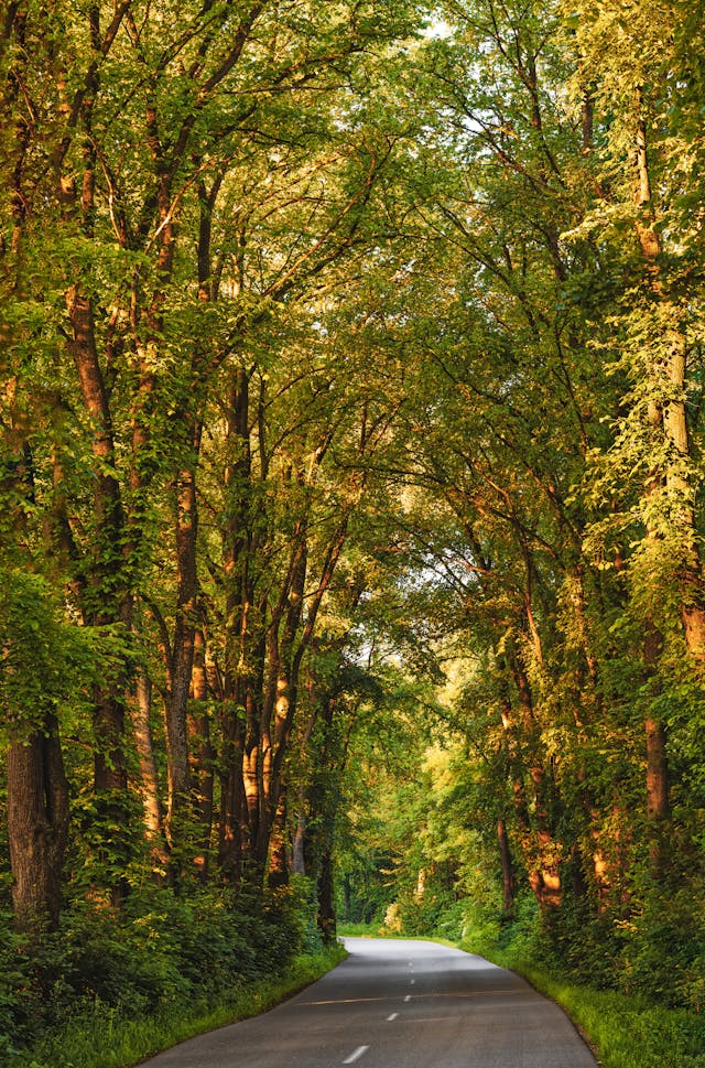 Wallpaper HDR